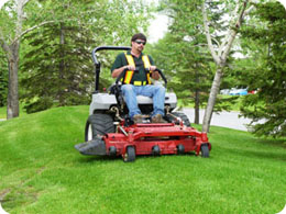 spring lawn care and maintenence
