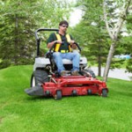 professional lawn care and maintenance