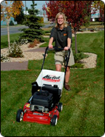 lawn care and maintenance